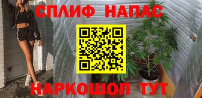 дмт Бийск