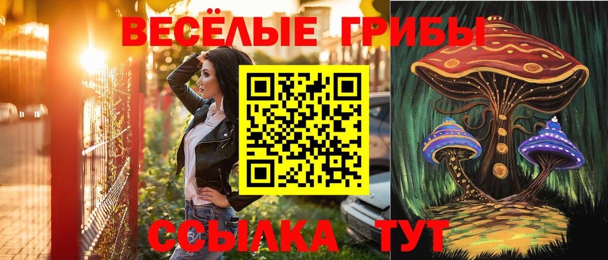 Галлюциногенные грибы Psilocybe  Вход с VPN  Братск 