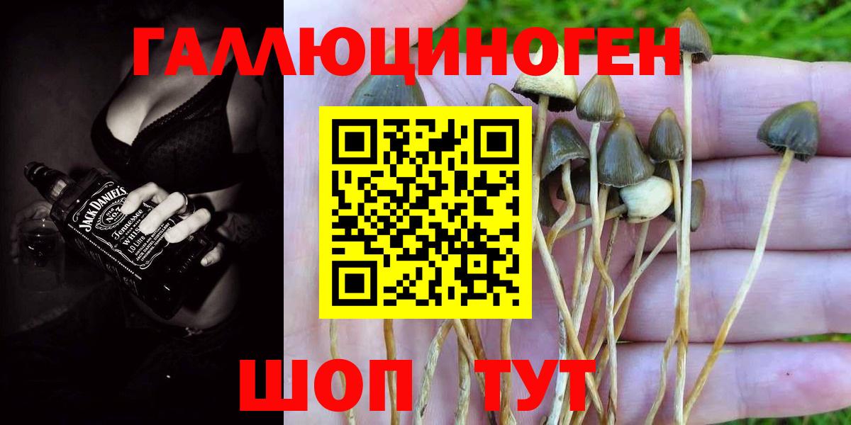 Галлюциногенные грибы ЛСД Братск